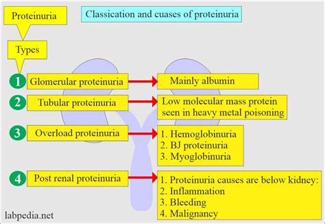 Proteinuria .